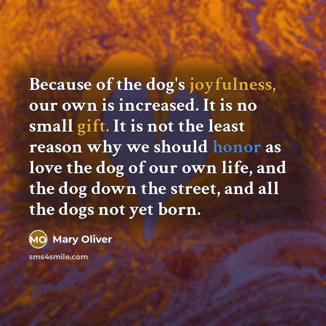“Because of the dog's joyfulness, our own is increased. It is no small gift. It is not the least reason why we should honor as love the dog of our own life, and the dog down the street, and all the dogs not yet born.” quote by Mary Oliver