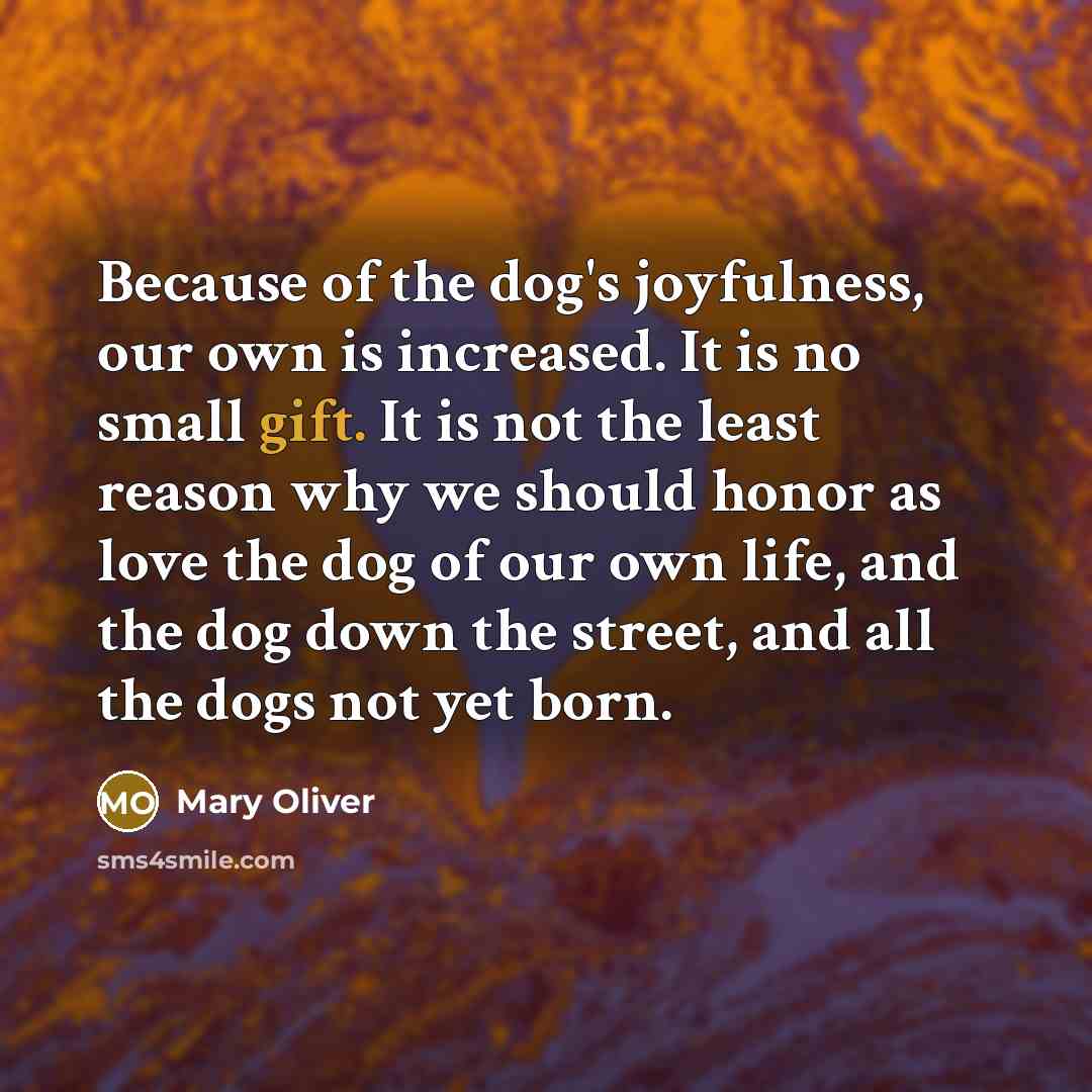 “Because of the dog's joyfulness, our own is increased. It…” quote by Mary Oliver
