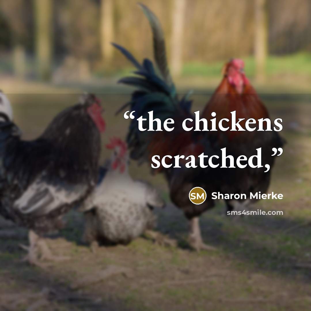 “the chickens scratched,” quote by Sharon Mierke