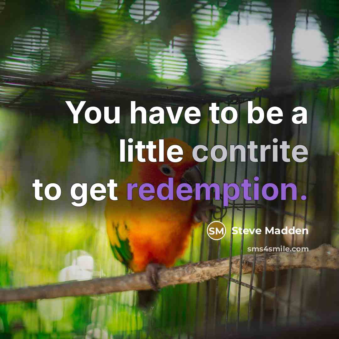 “You have to be a little contrite to get redemption.…” quote by Steve Madden