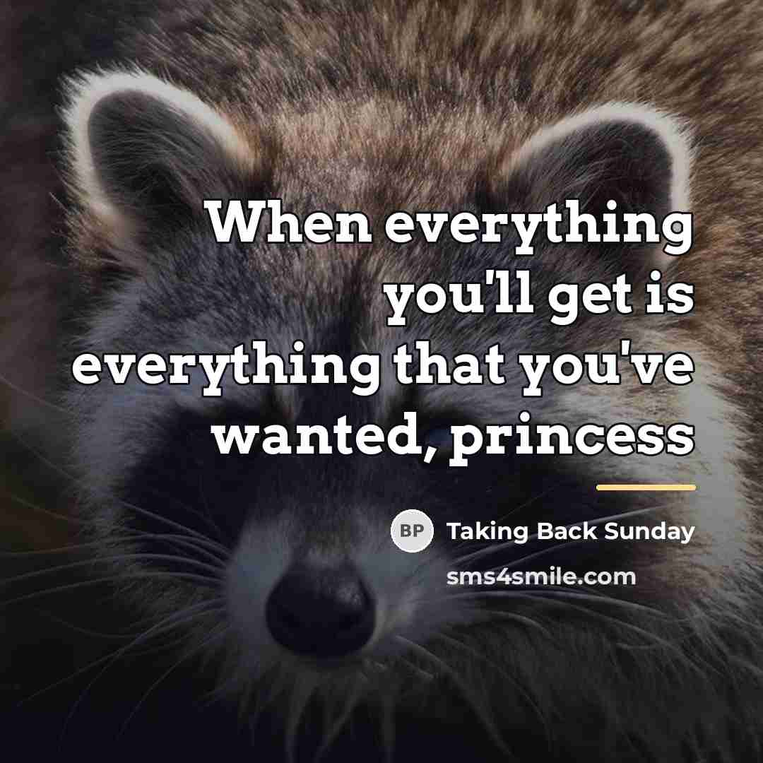 “When everything you'll get is everything that you've wanted, princess…” quote by Taking Back Sunday