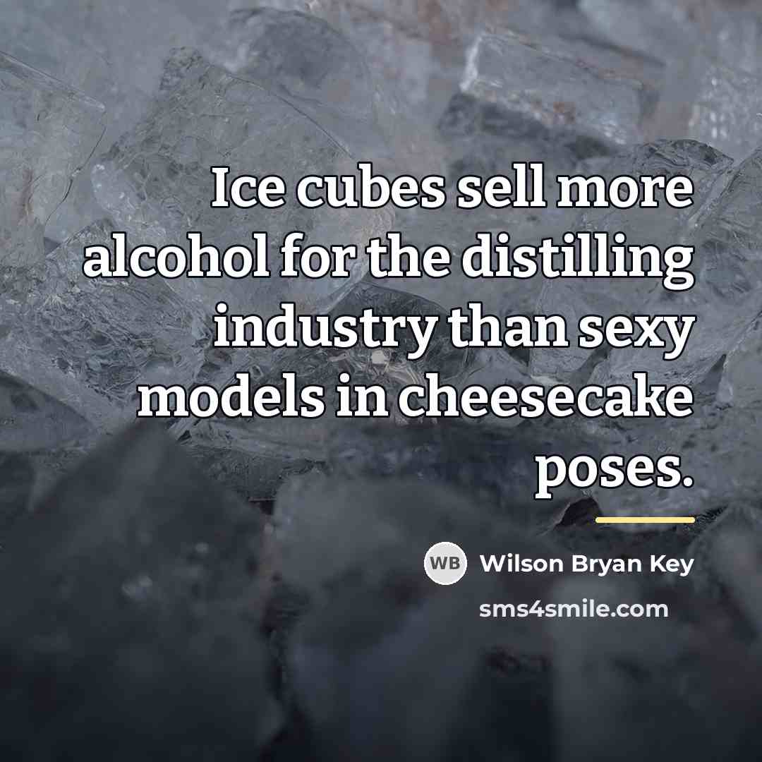 “Ice cubes sell more alcohol for the distilling industry than…” quote by Wilson Bryan Key