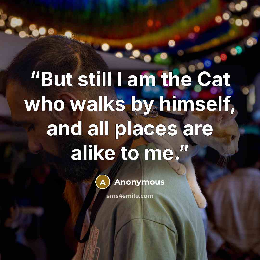 “But still I am the Cat who walks by himself, and all places are alike to me.” quote by Anonymous