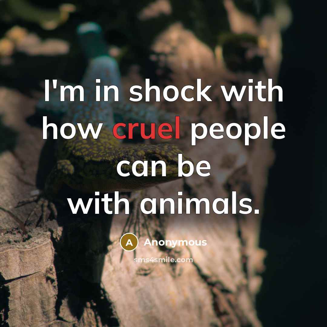 “I'm in shock with how cruel people can be with animals.” quote by Anonymous