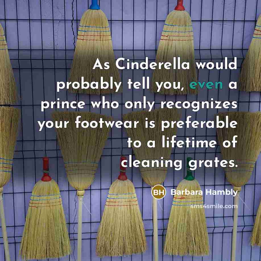 “As Cinderella would probably tell you, even a prince who…” quote by Barbara Hambly