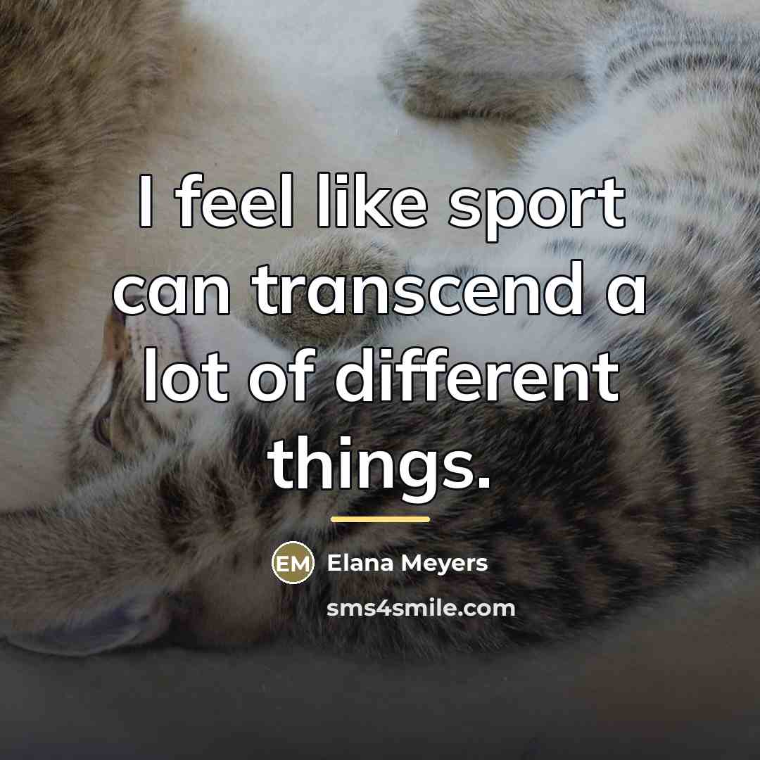 “I feel like sport can transcend a lot of different…” quote by Elana Meyers