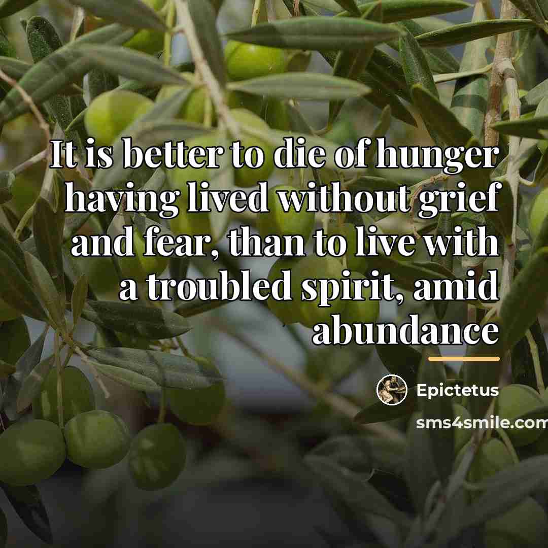 “It is better to die of hunger having lived without…” quote by Epictetus