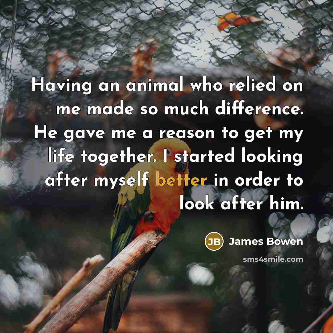 “Having an animal who relied on me made so much difference. He gave me a reason to get my life together. I started looking after myself better in order to look after him.” quote by James Bowen