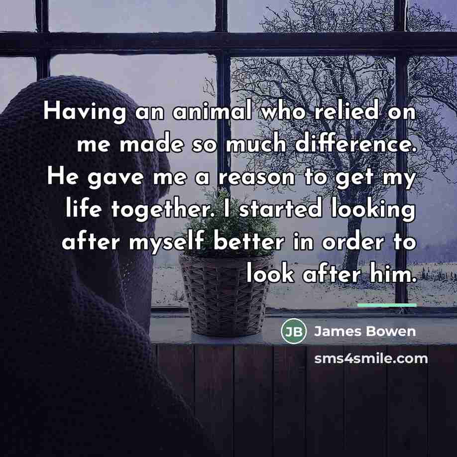 “Having an animal who relied on me made so much…” quote by James Bowen