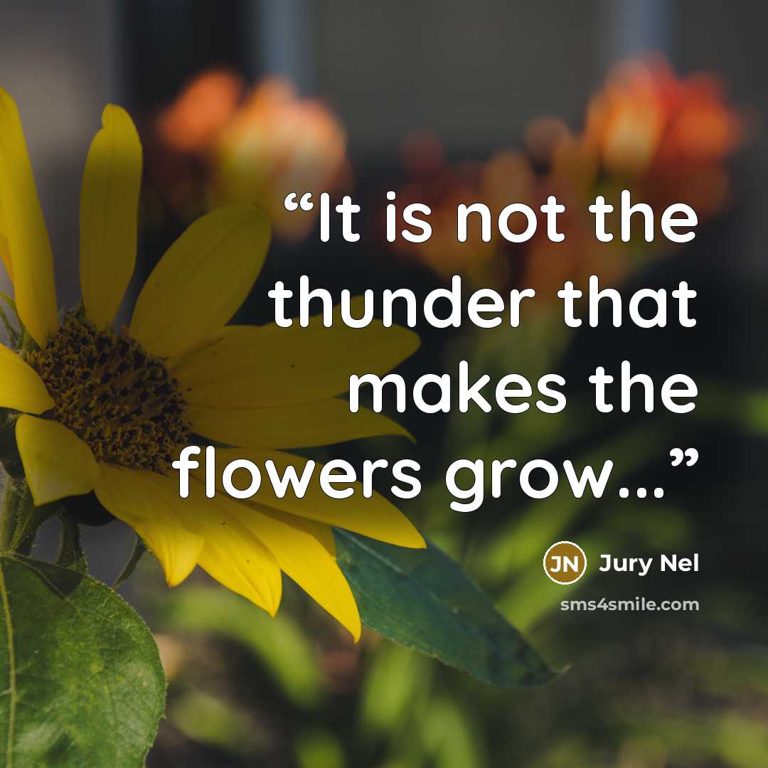 “It is not the thunder that makes the flowers grow...” quote by Jury Nel