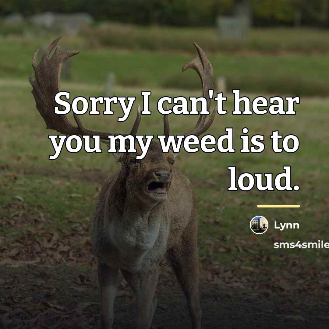 “Sorry I can't hear you my weed is to loud.…” quote by Lynn