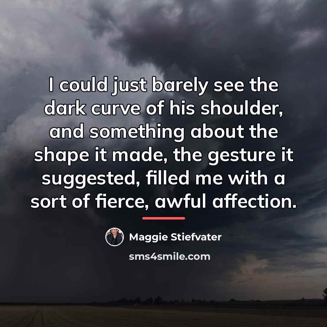 “I could just barely see the dark curve of his…” quote by Maggie Stiefvater