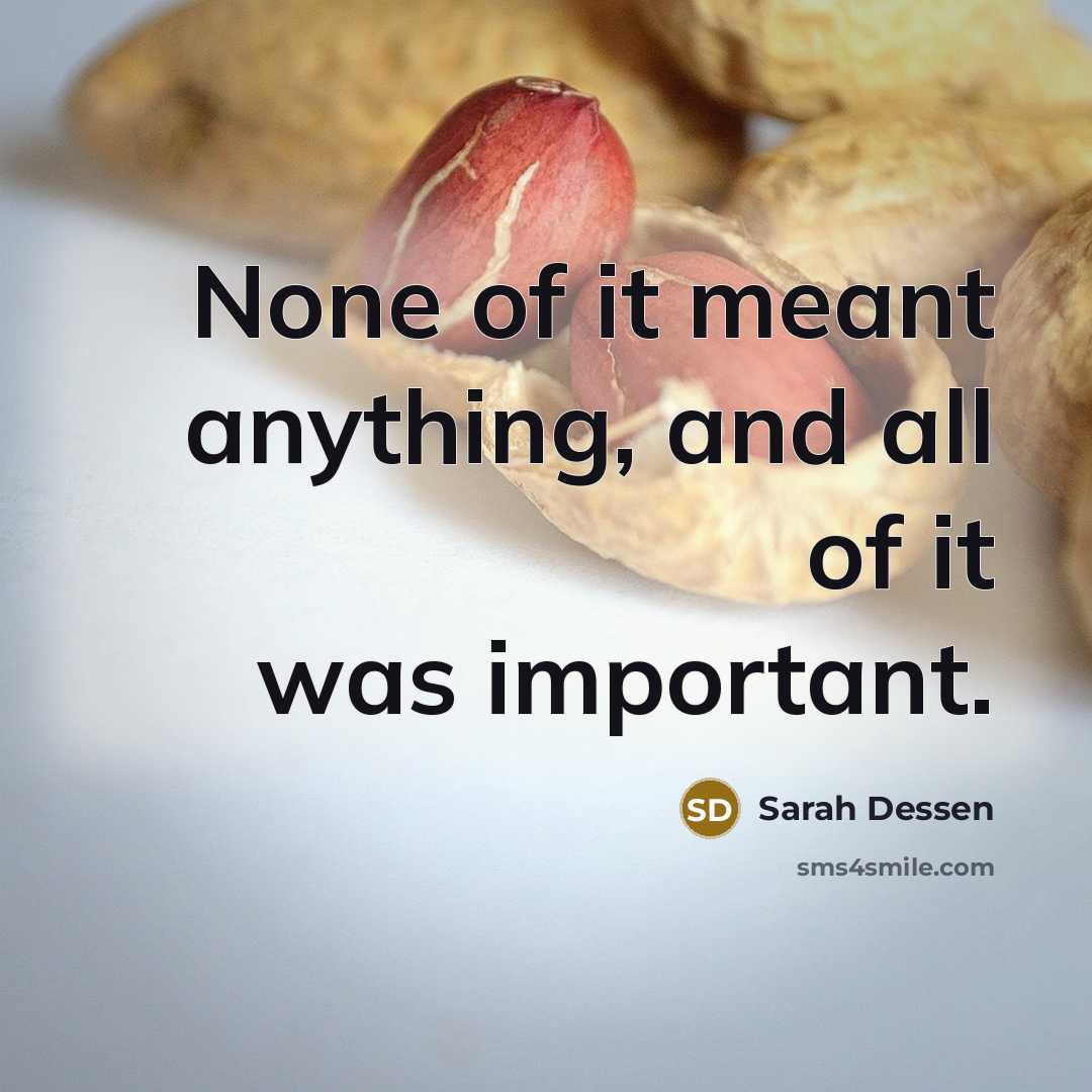 “None of it meant anything, and all of it was…” quote by Sarah Dessen