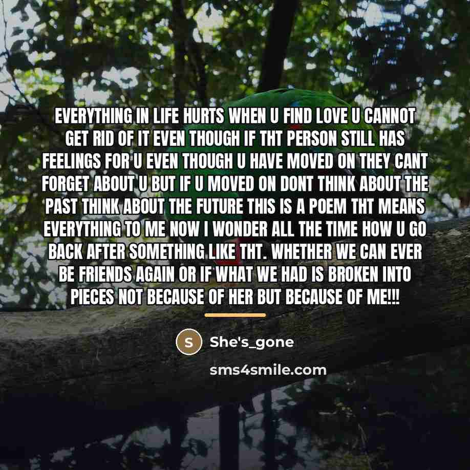 “Everything in life hurts when u find love u cannot…” quote by She's_gone