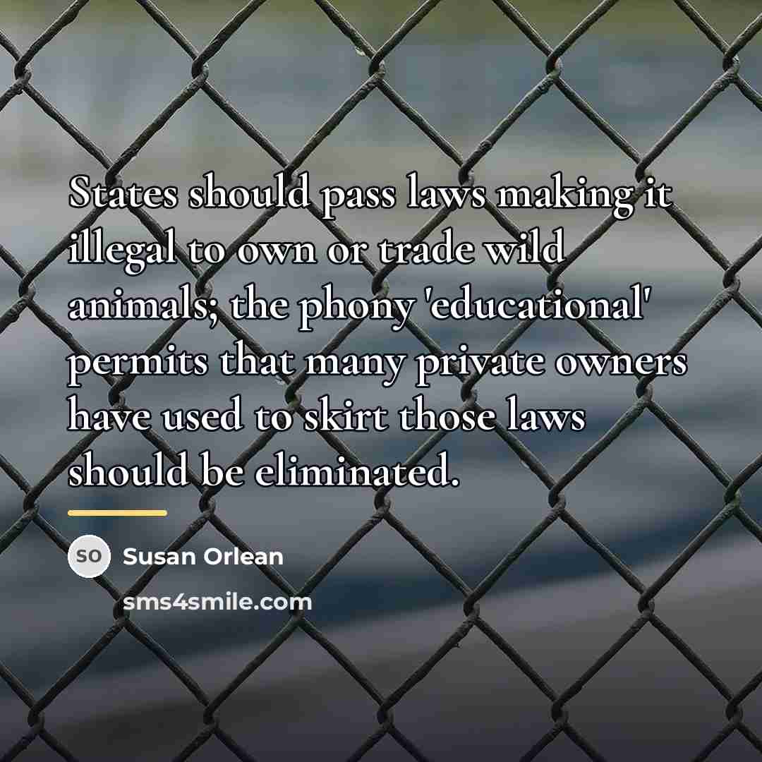“States should pass laws making it illegal to own or…” quote by Susan Orlean