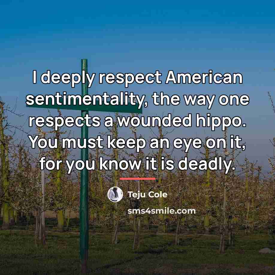 “I deeply respect American sentimentality, the way one respects a…” quote by Teju Cole
