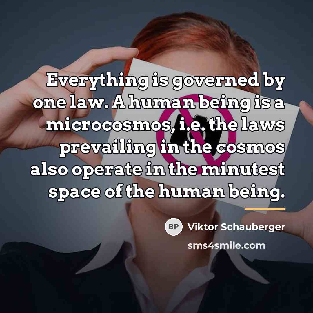“Everything is governed by one law. A human being is…” quote by Viktor Schauberger