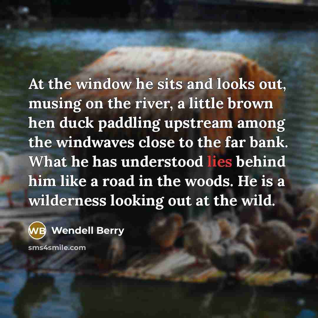“At the window he sits and looks out, musing on…” quote by Wendell Berry