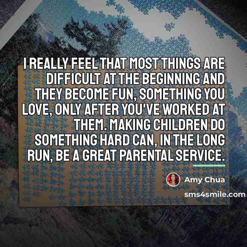 “I really feel that most things are difficult at the…” quote by Amy Chua