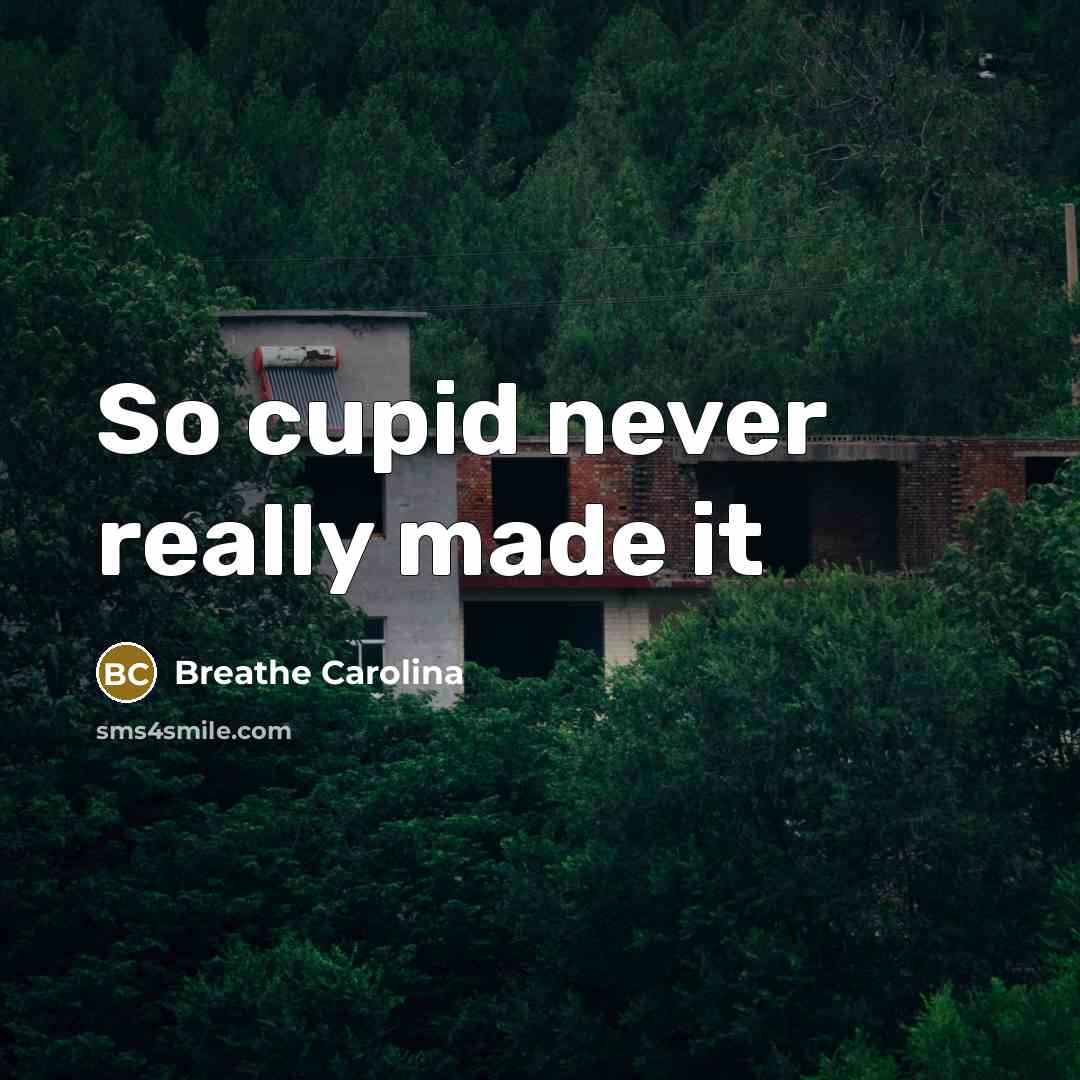 “So cupid never really made it…” quote by Breathe Carolina