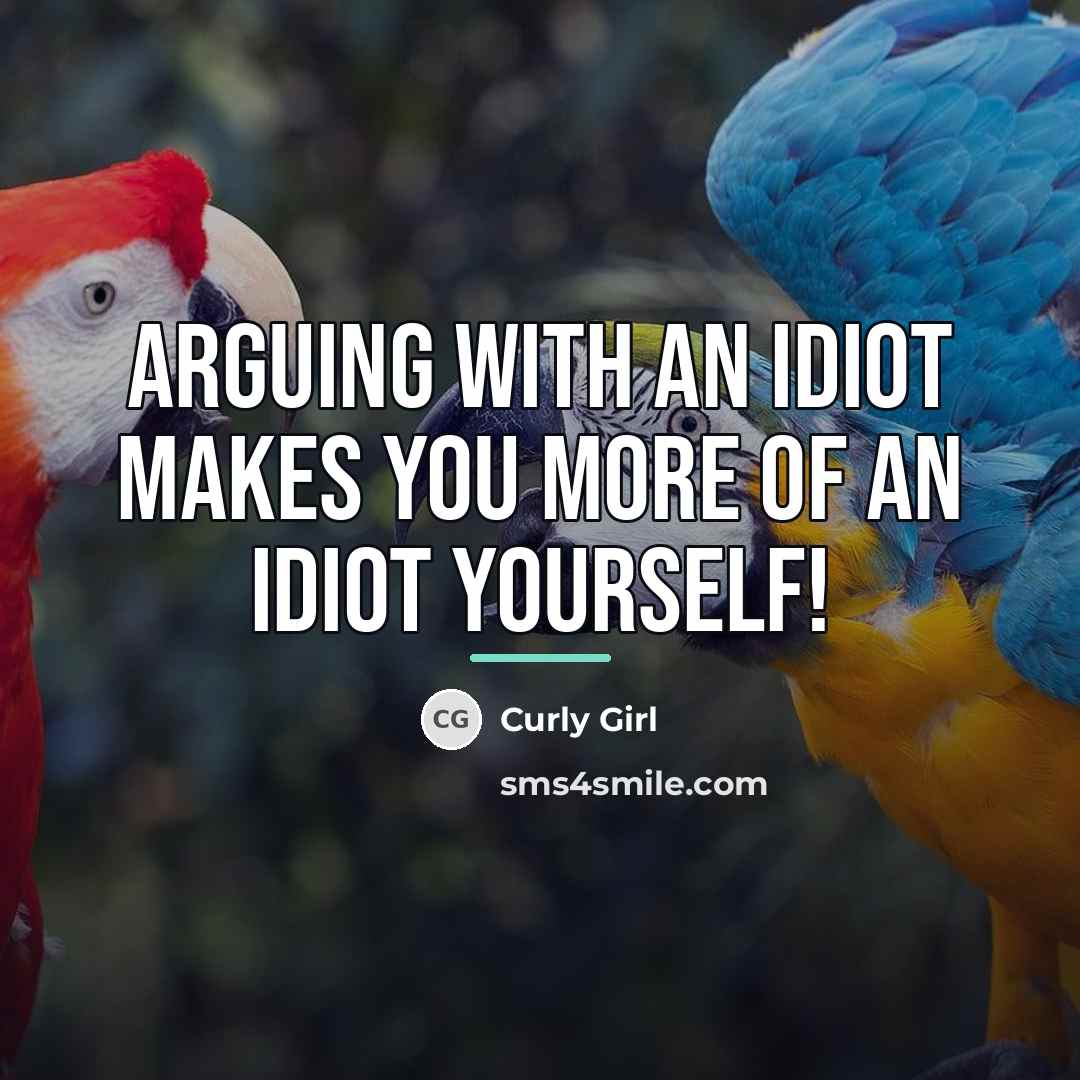 “Arguing with an idiot makes you more of an idiot…” quote by Curly Girl