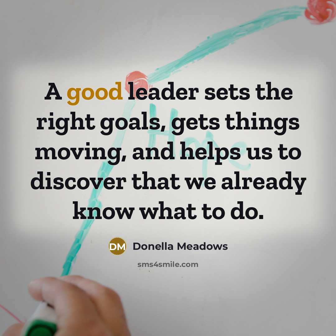 “A good leader sets the right goals, gets things moving,…” quote by Donella Meadows