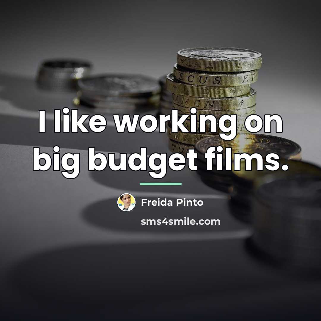 “I like working on big budget films.…” quote by Freida Pinto
