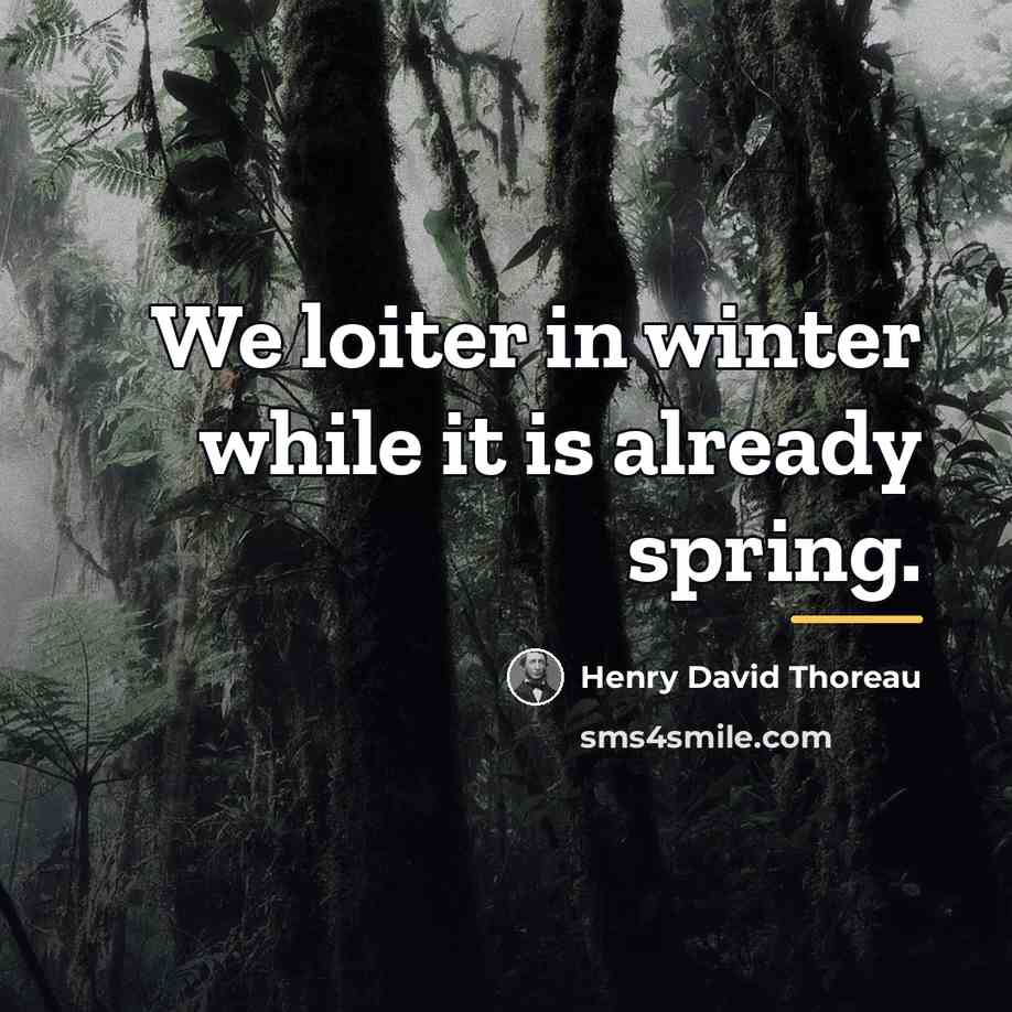 “We loiter in winter while it is already spring.…” quote by Henry David Thoreau