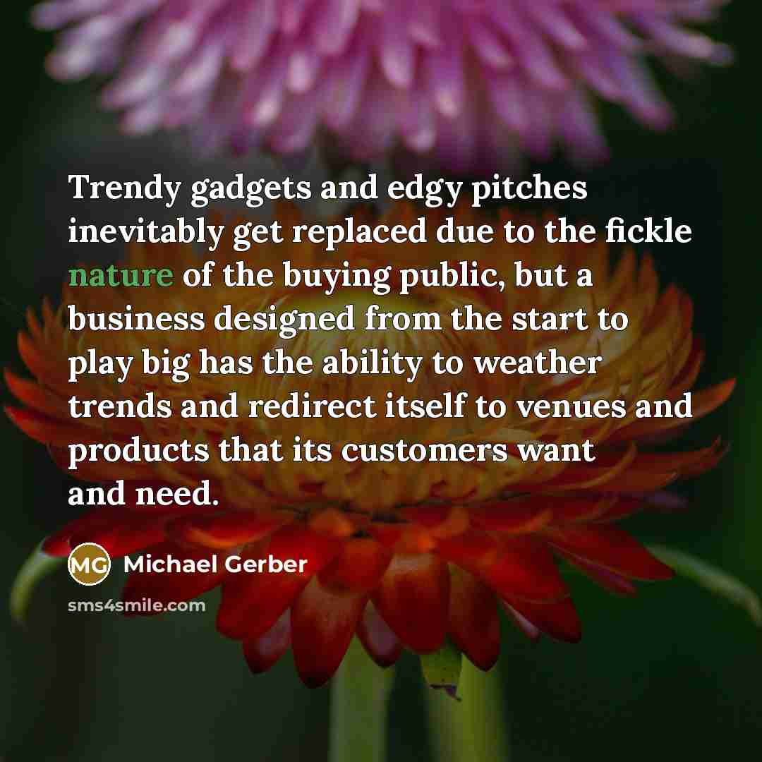 “Trendy gadgets and edgy pitches inevitably get replaced due to…” quote by Michael Gerber