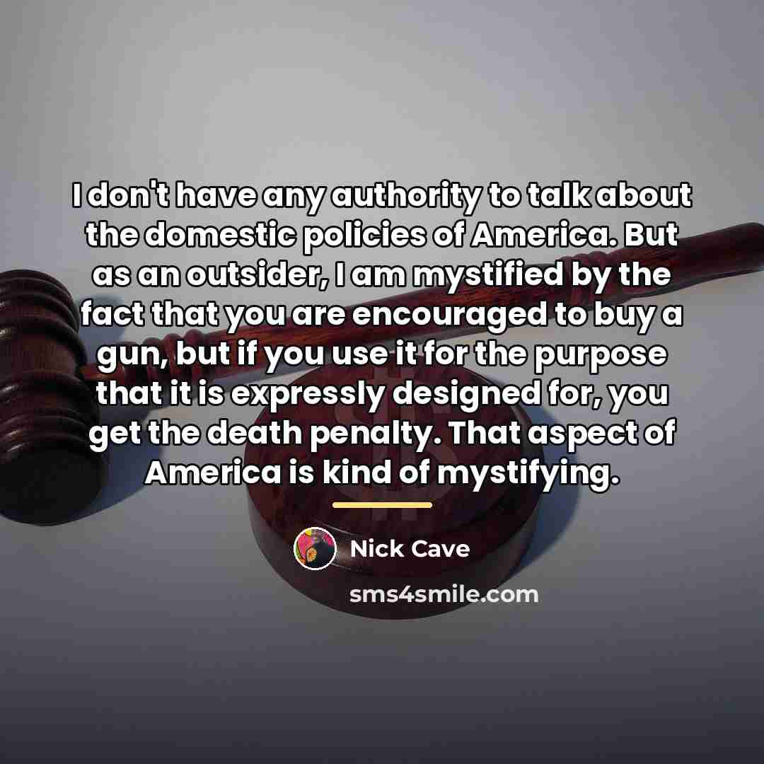 “I don't have any authority to talk about the domestic…” quote by Nick Cave