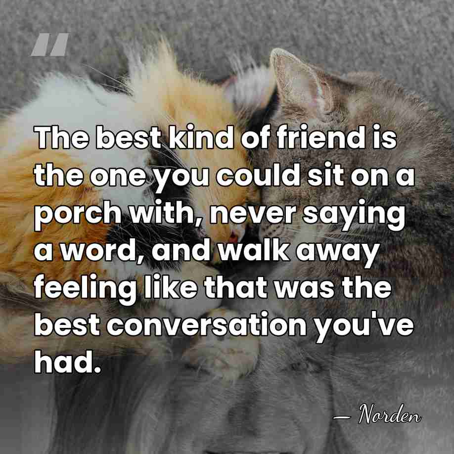 The best kind of friend is the one you could sit on&hellip; - Norden