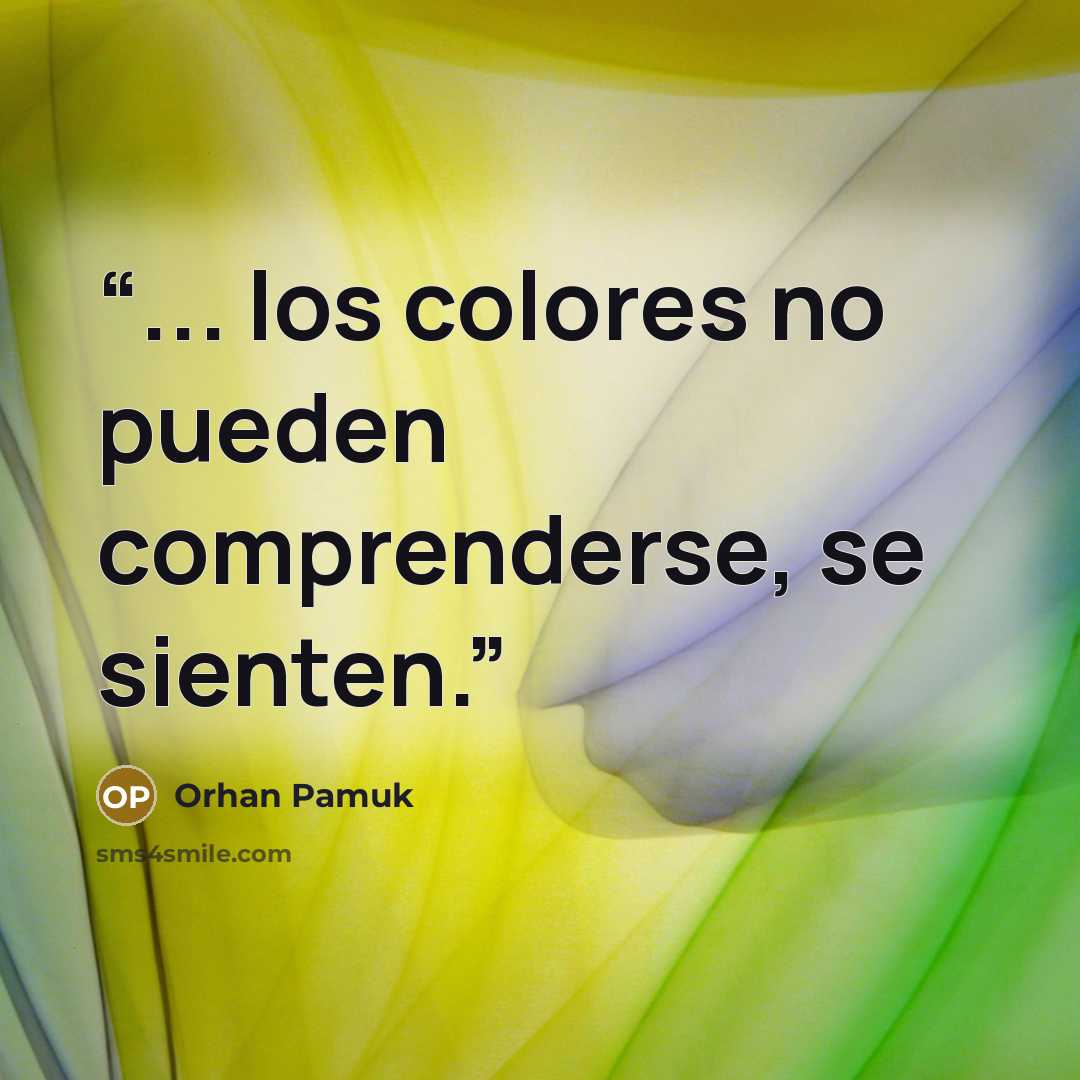 “... los colores no pueden comprenderse, se sienten.” quote by Orhan Pamuk