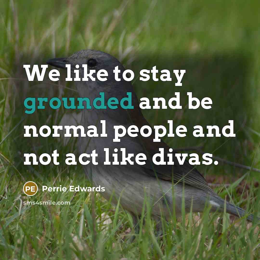 “We like to stay grounded and be normal people and…” quote by Perrie Edwards