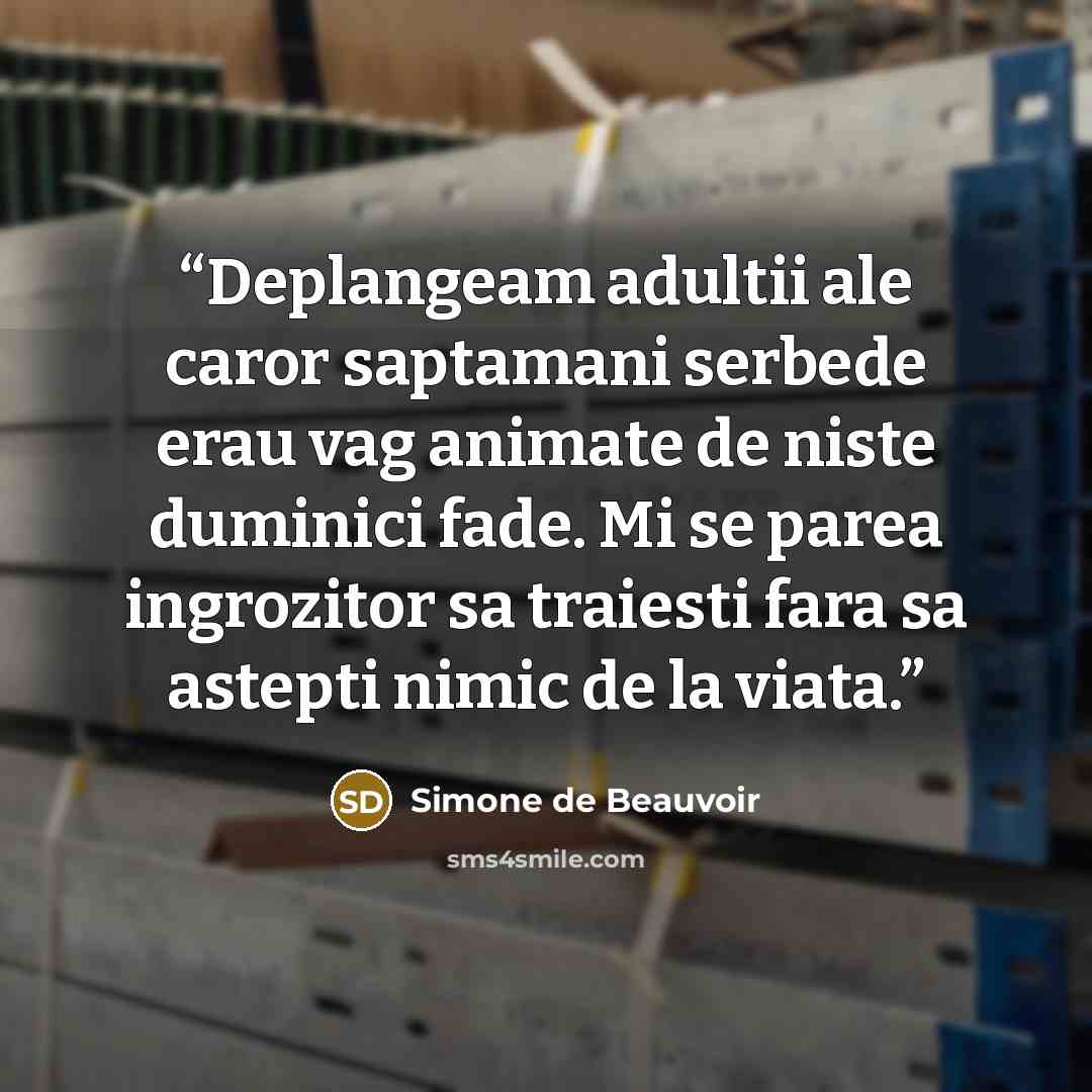 “Deplangeam adultii ale caror saptamani serbede erau vag animate de niste duminici fade. Mi se parea ingrozitor sa traiesti fara sa astepti nimic de la viata.” quote by Simone de Beauvoir