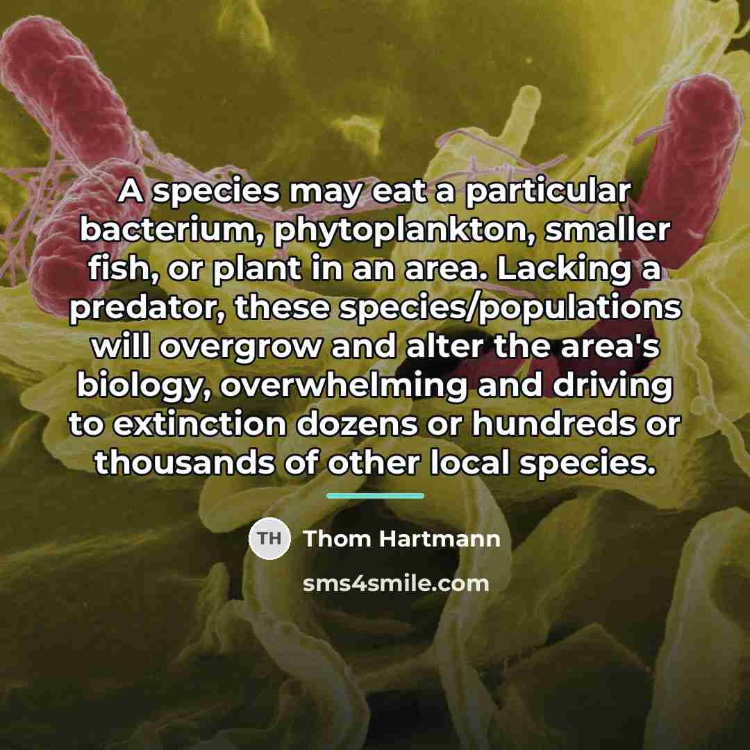 “A species may eat a particular bacterium, phytoplankton, smaller fish,…” quote by Thom Hartmann