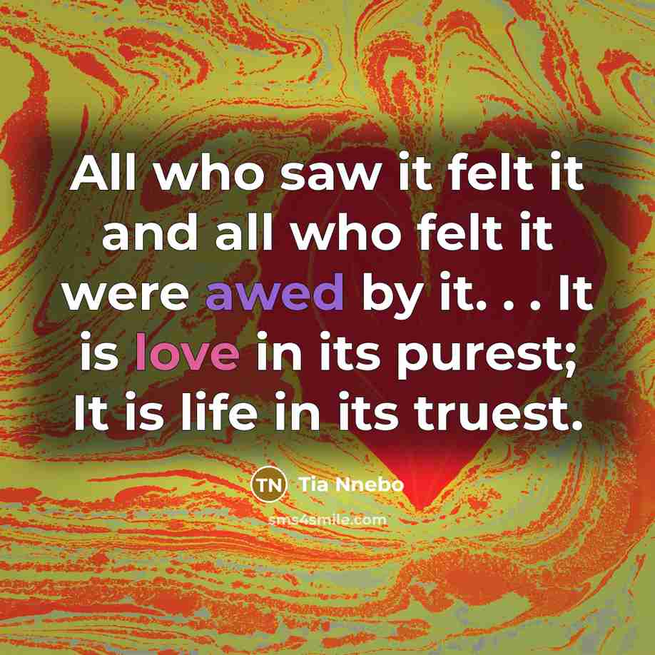 “All who saw it felt it and all who felt…” quote by Tia Nnebo