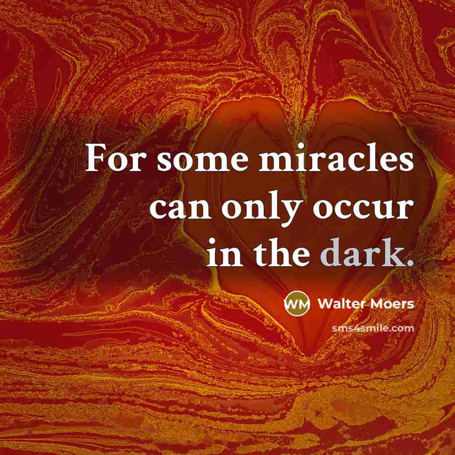 “For some miracles can only occur in the dark.…” quote by Walter Moers