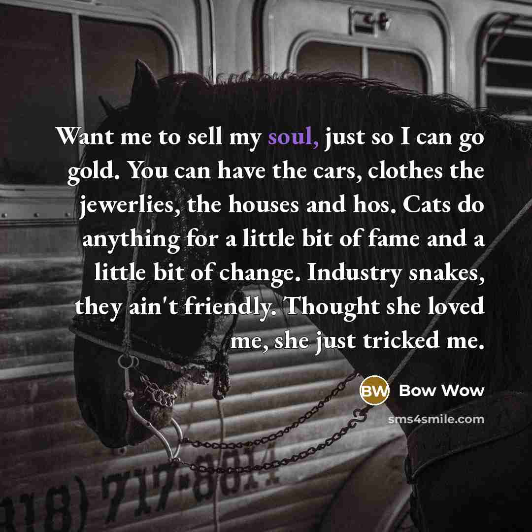 “Want me to sell my soul, just so I can…” quote by Bow Wow