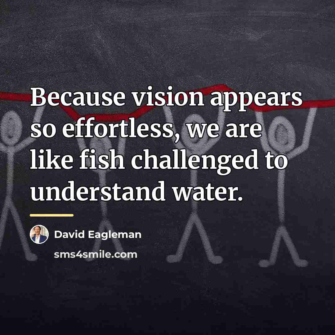 “Because vision appears so effortless, we are like fish challenged…” quote by David Eagleman