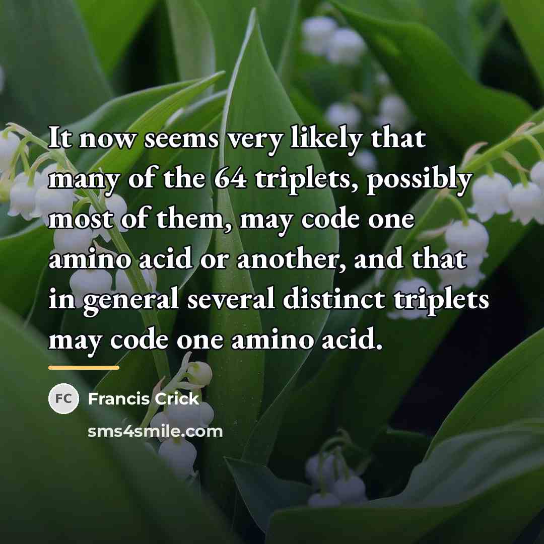 “It now seems very likely that many of the 64…” quote by Francis Crick