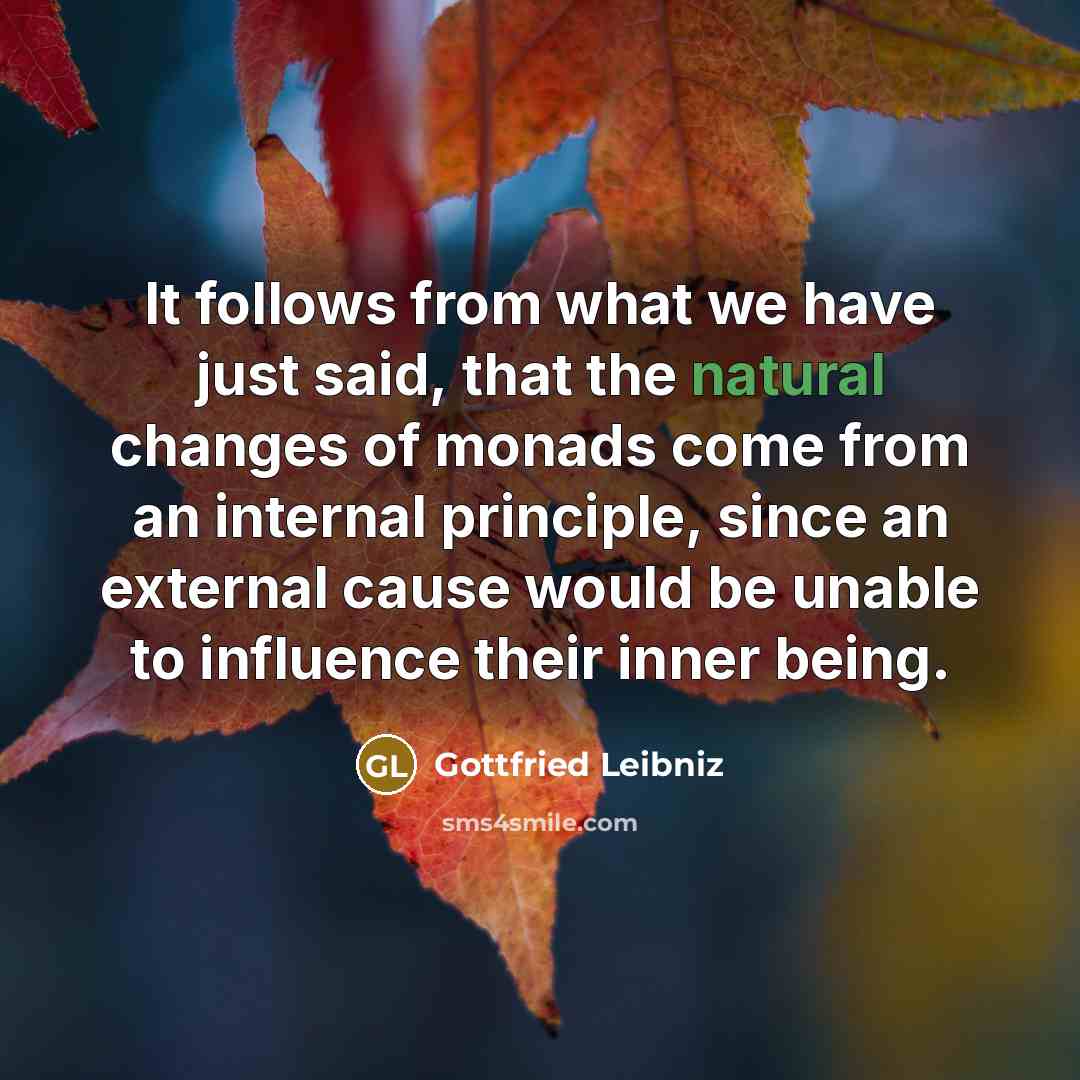 “It follows from what we have just said, that the…” quote by Gottfried Leibniz