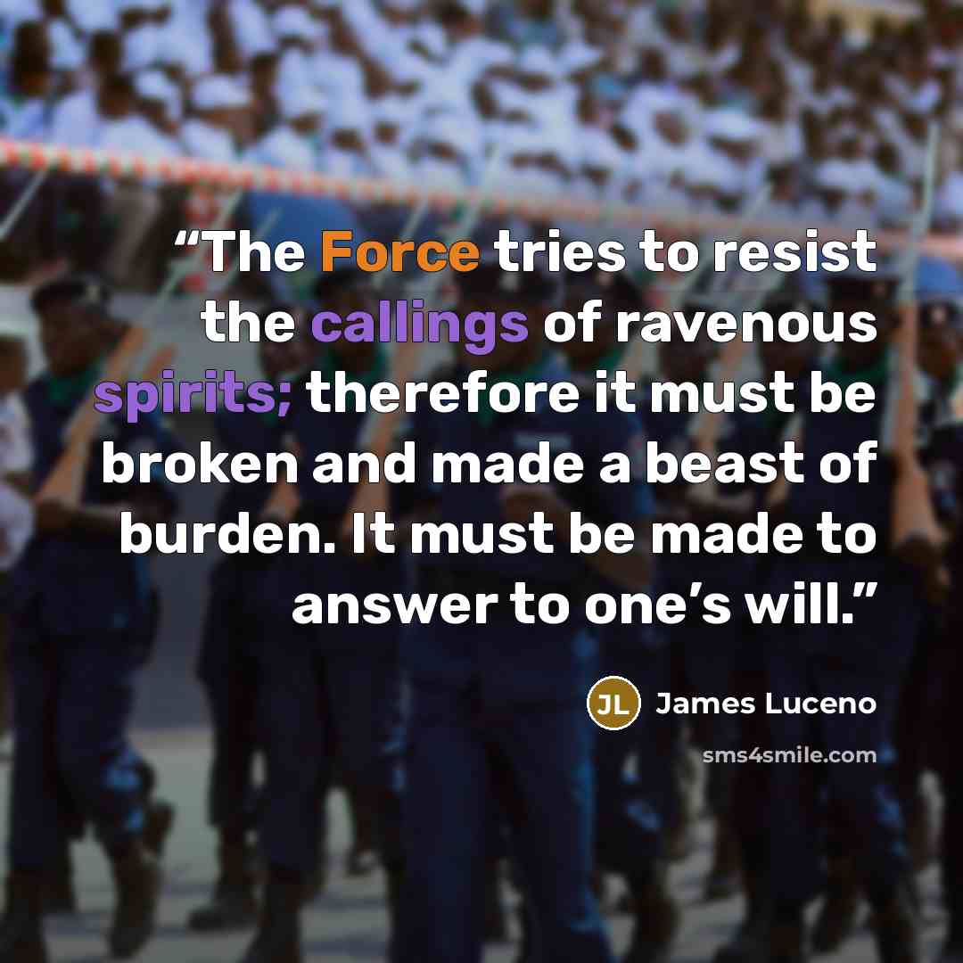 “The Force tries to resist the callings of ravenous spirits; therefore it must be broken and made a beast of burden. It must be made to answer to one’s will.” quote by James Luceno