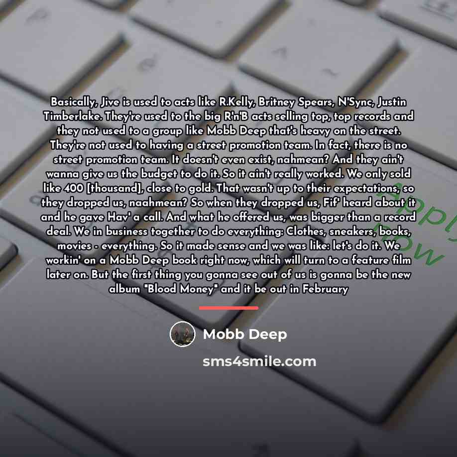 “Basically, Jive is used to acts like R.Kelly, Britney Spears,…” quote by Mobb Deep