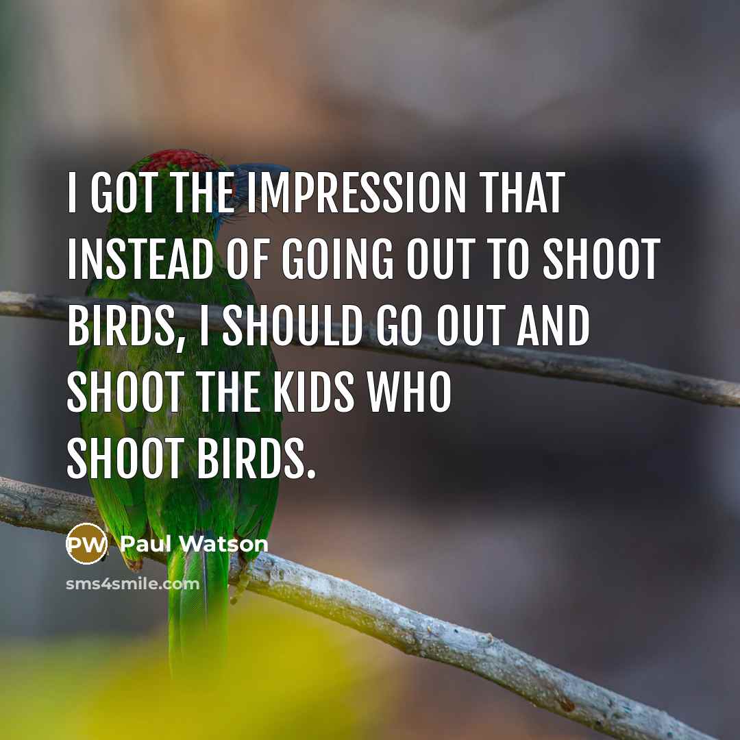 “I got the impression that instead of going out to…” quote by Paul Watson