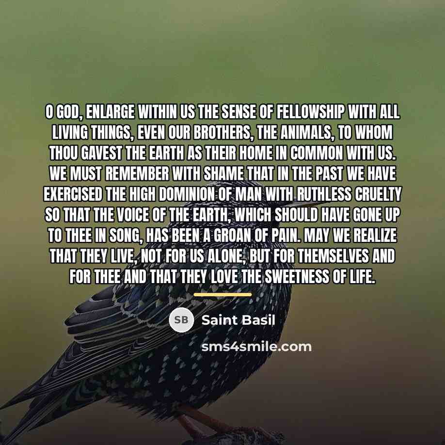 “O God, enlarge within us the sense of fellowship with…” quote by Saint Basil