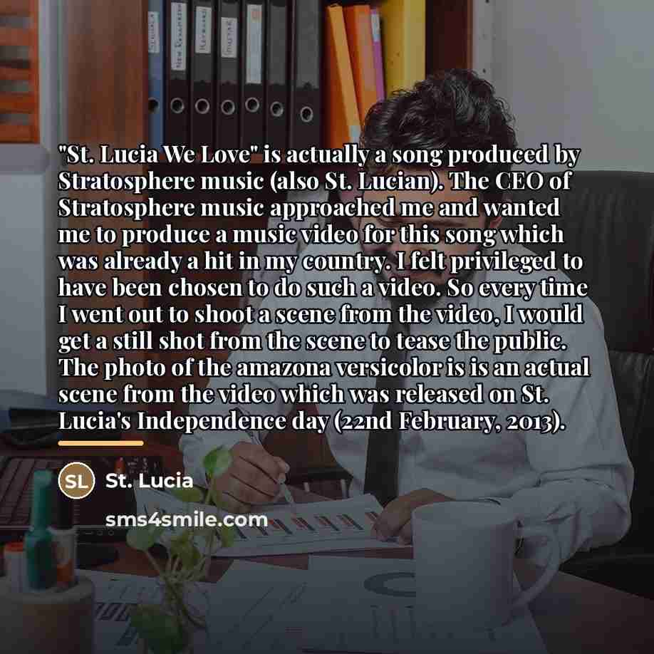 “"St. Lucia We Love" is actually a song produced by…” quote by St. Lucia