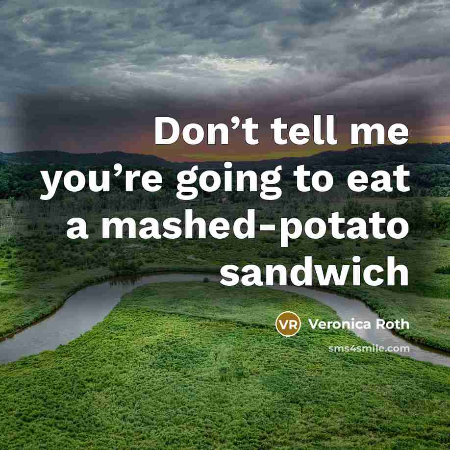 “Don’t tell me you’re going to eat a mashed-potato sandwich…” quote by Veronica Roth