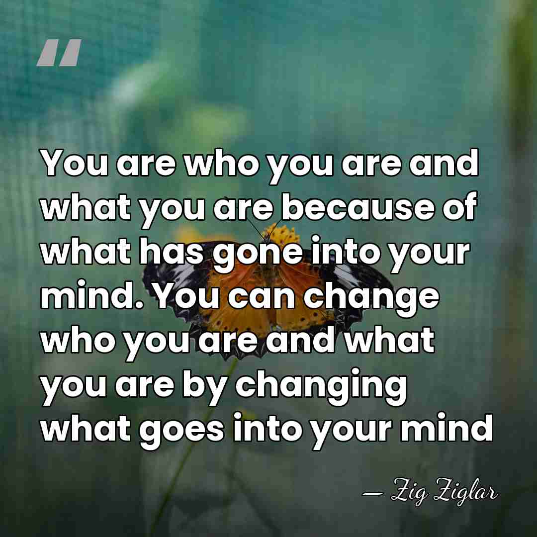 You are who you are and what you are because of what&hellip; - Zig Ziglar