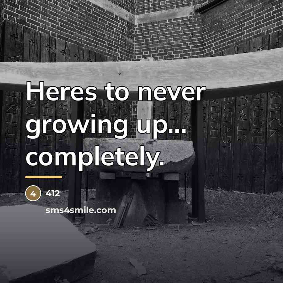 “Heres to never growing up... completely.…” quote by 412