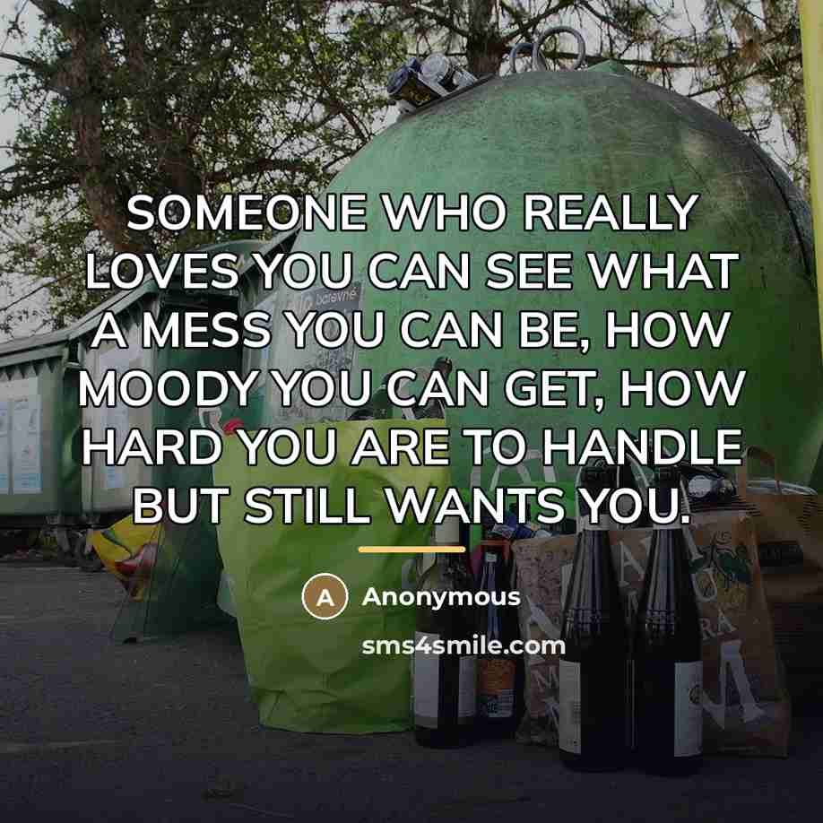 “SOMEONE WHO REALLY LOVES YOU CAN SEE WHAT A MESS…” quote by Anonymous